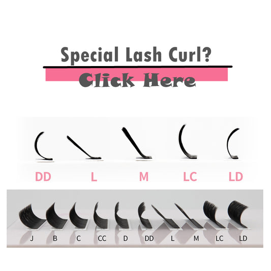 Pestañas DD/ L/ M/ LC/ LD Curl Special Lash Curls Cashmere Lashes